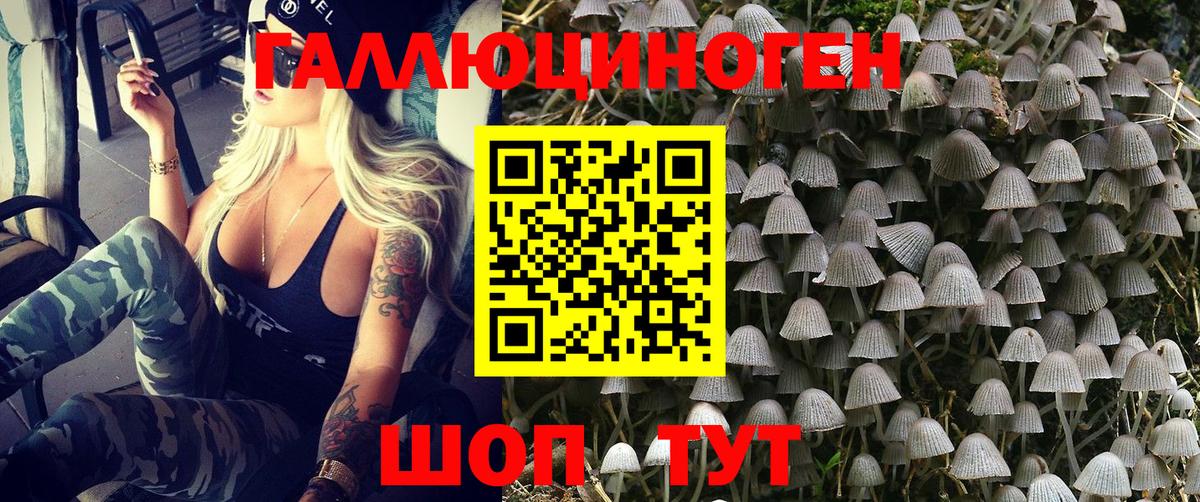 Галлюциногенные грибы GOLDEN TEACHER Октябрьский