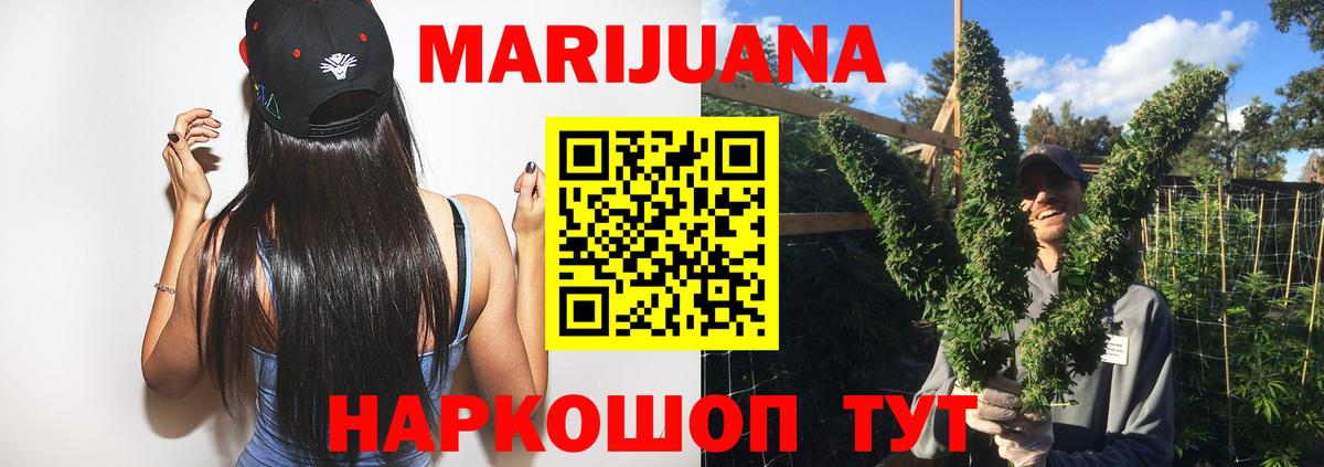 Конопля планчик Октябрьский